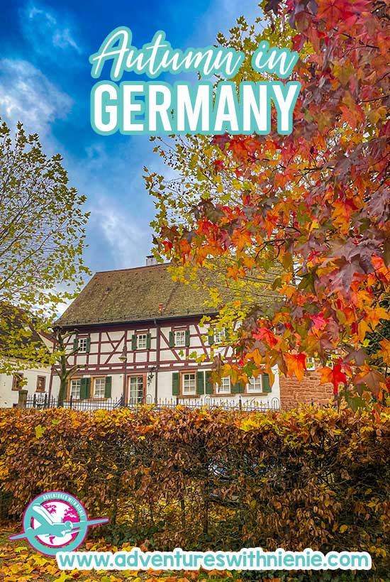 Autumn in Germany 2024: Take pleasure in superb Colours and Tradition