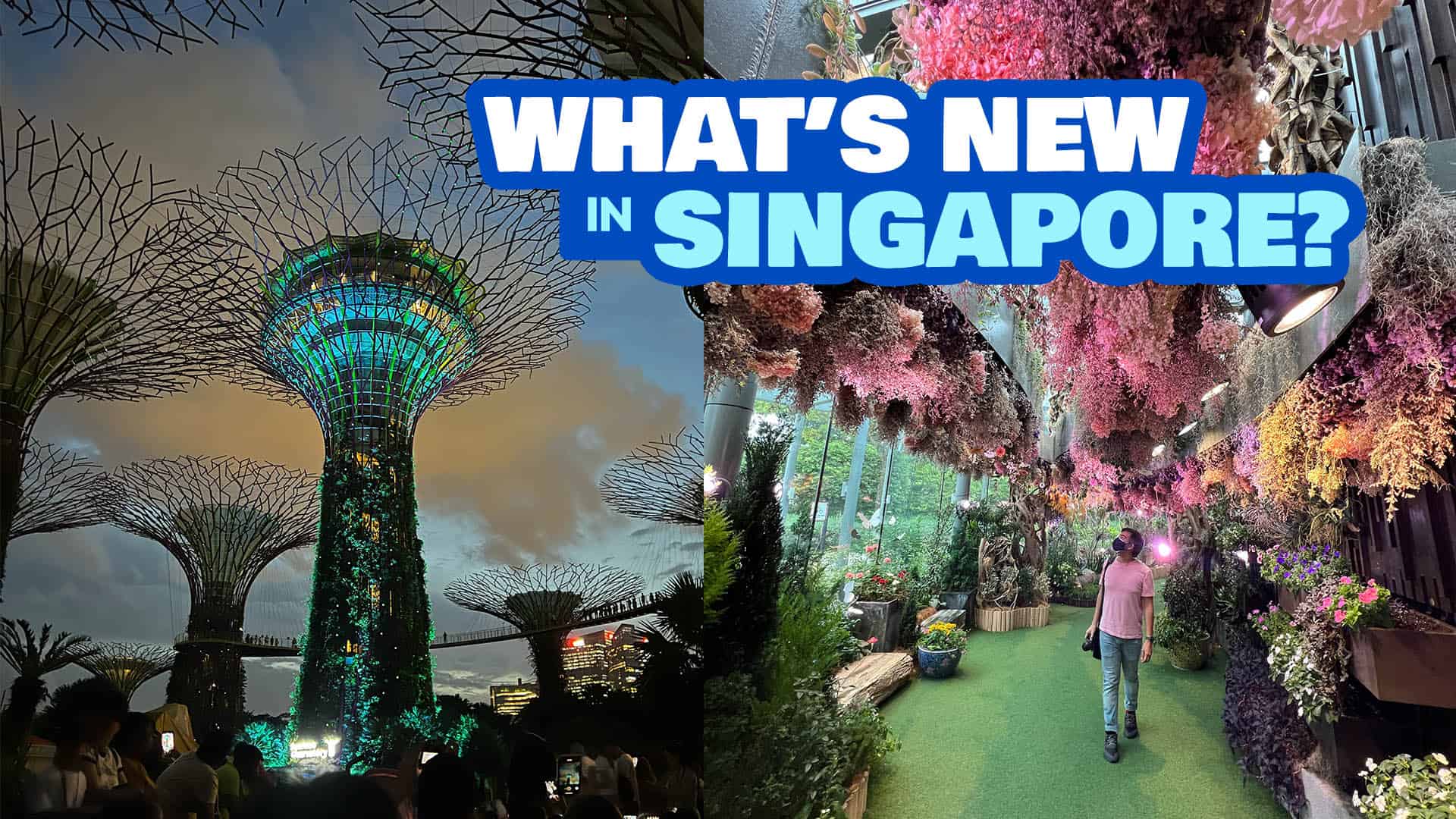 What’s New in Singapore? 7 Irresistible Causes to Return this 2025