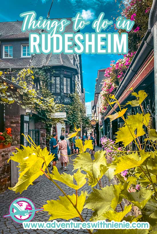 19 Wonderful Issues to Do in Rudesheim | What to do in Rudesheim Germany