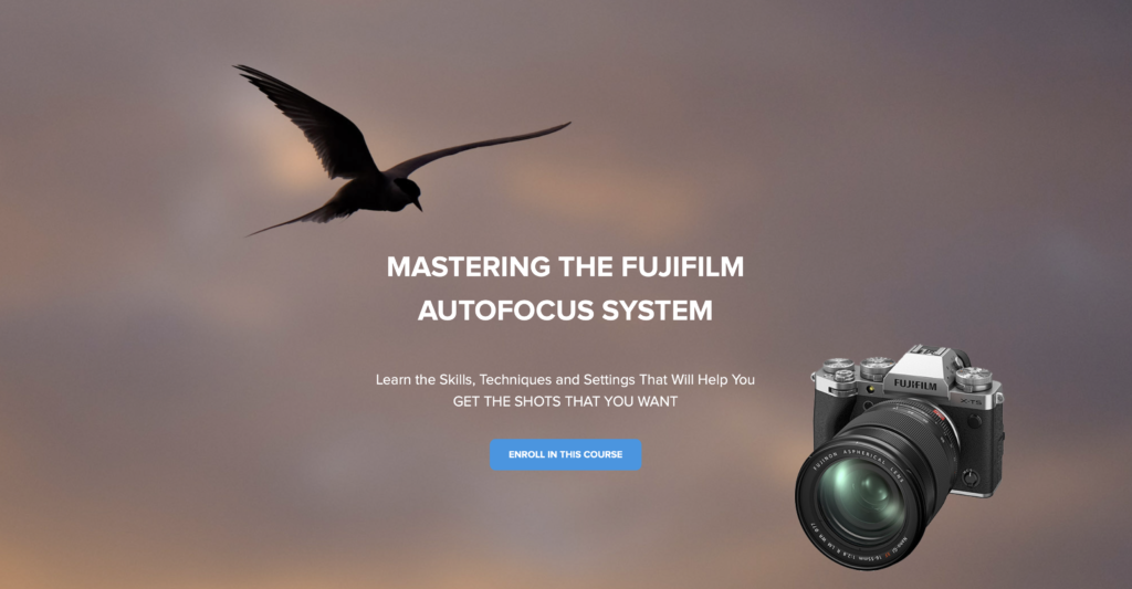 New On-line Course – Mastering the FUJIFILM Autofocus System