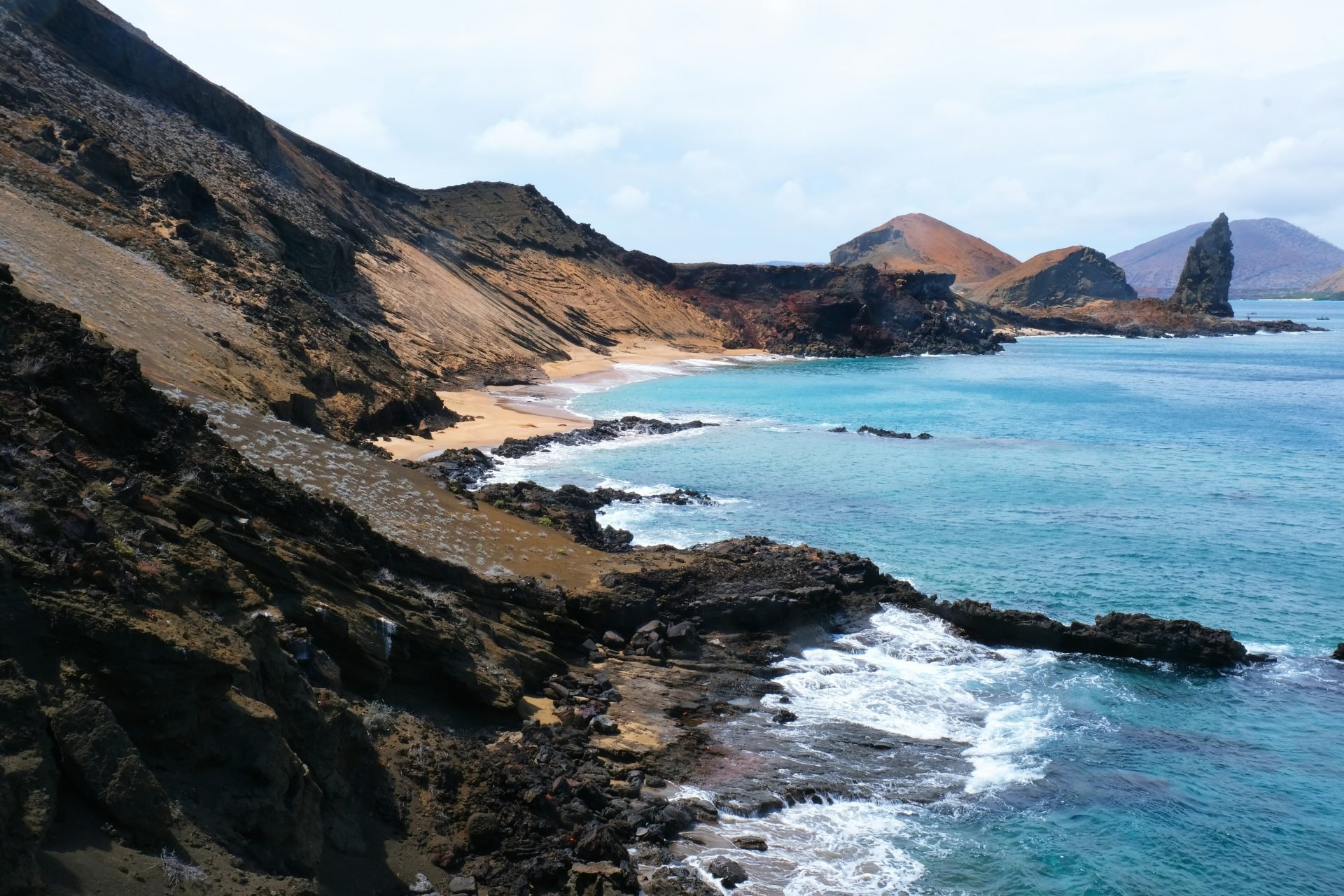 Find out how to Journey Sustainably within the Galapagos Islands