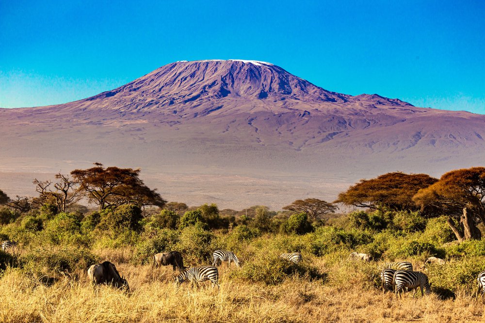 The Thrilling Journey of Kilimanjaro Excursions – A Journey of a Lifetime