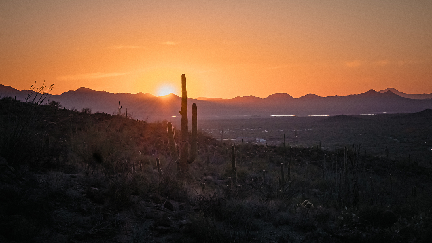 A Photographer’s Information to Southern Arizona – Photograph Suggestions, Inventive Pictures + Journey Guides
