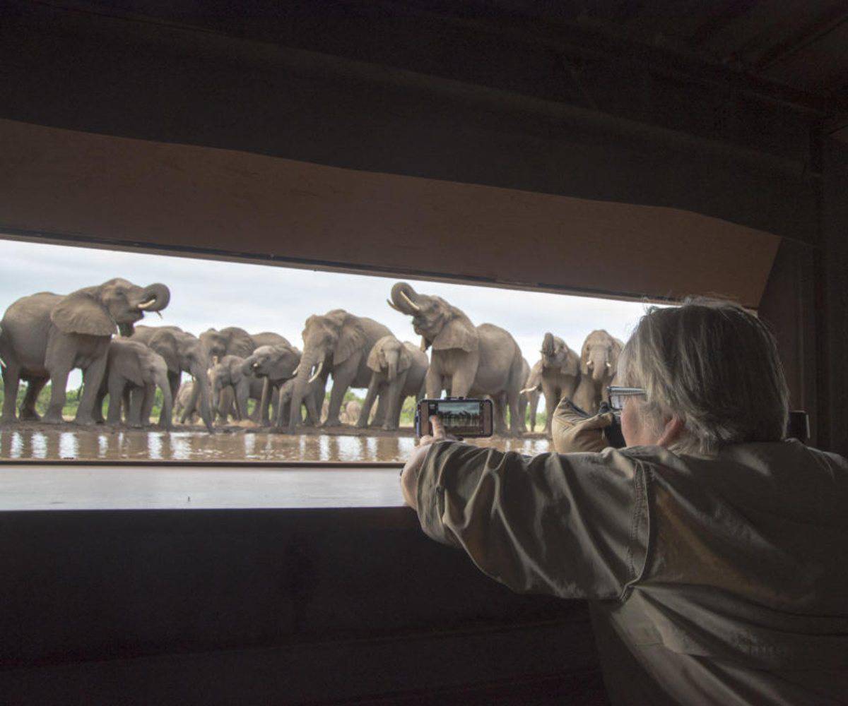 Africa’s fabulous picture hides and hotspots