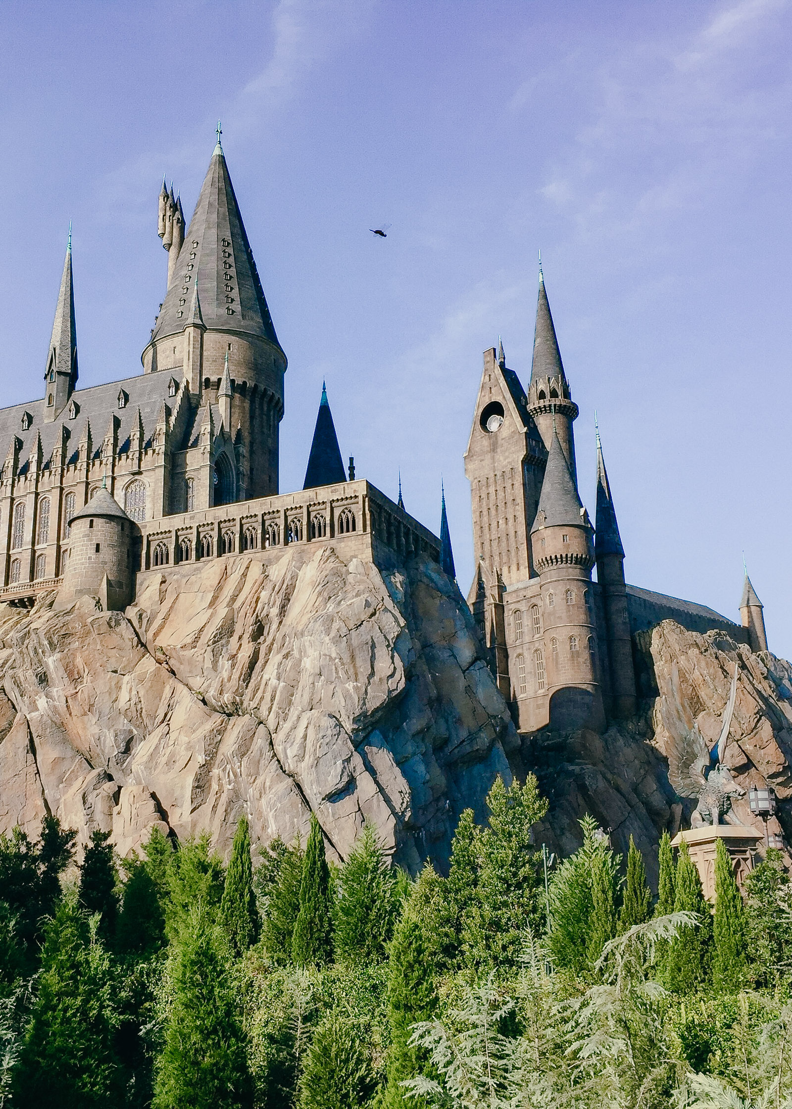 11 Finest Issues To Do In Orlando, Florida (and the right way to get to them) – Hand Baggage Solely