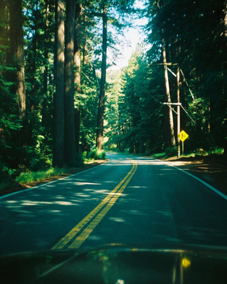 California, right here we come: the newbie’s information to the PCH highway journey