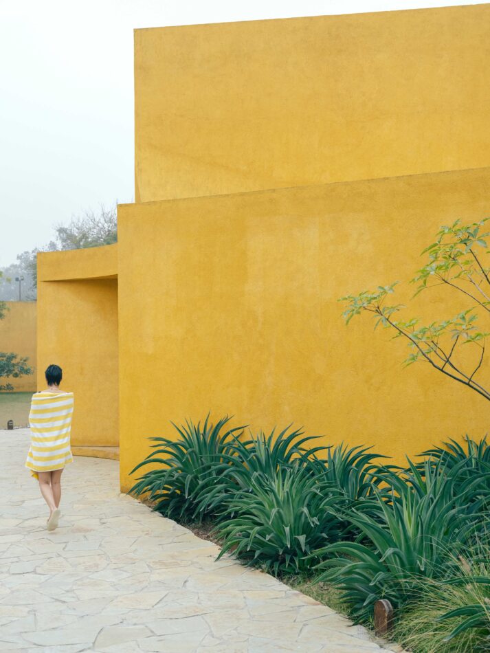 That is the spirit: trying inward on the world of different wellness journey