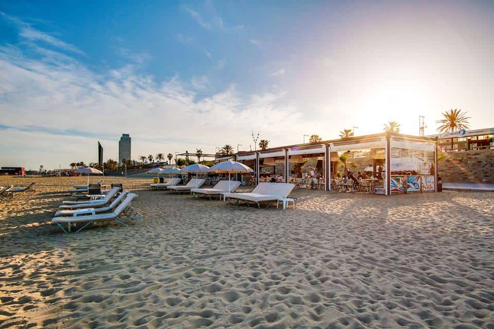 Seaside Bites on a Finances: High Low cost Chiringuitos in Barcelona